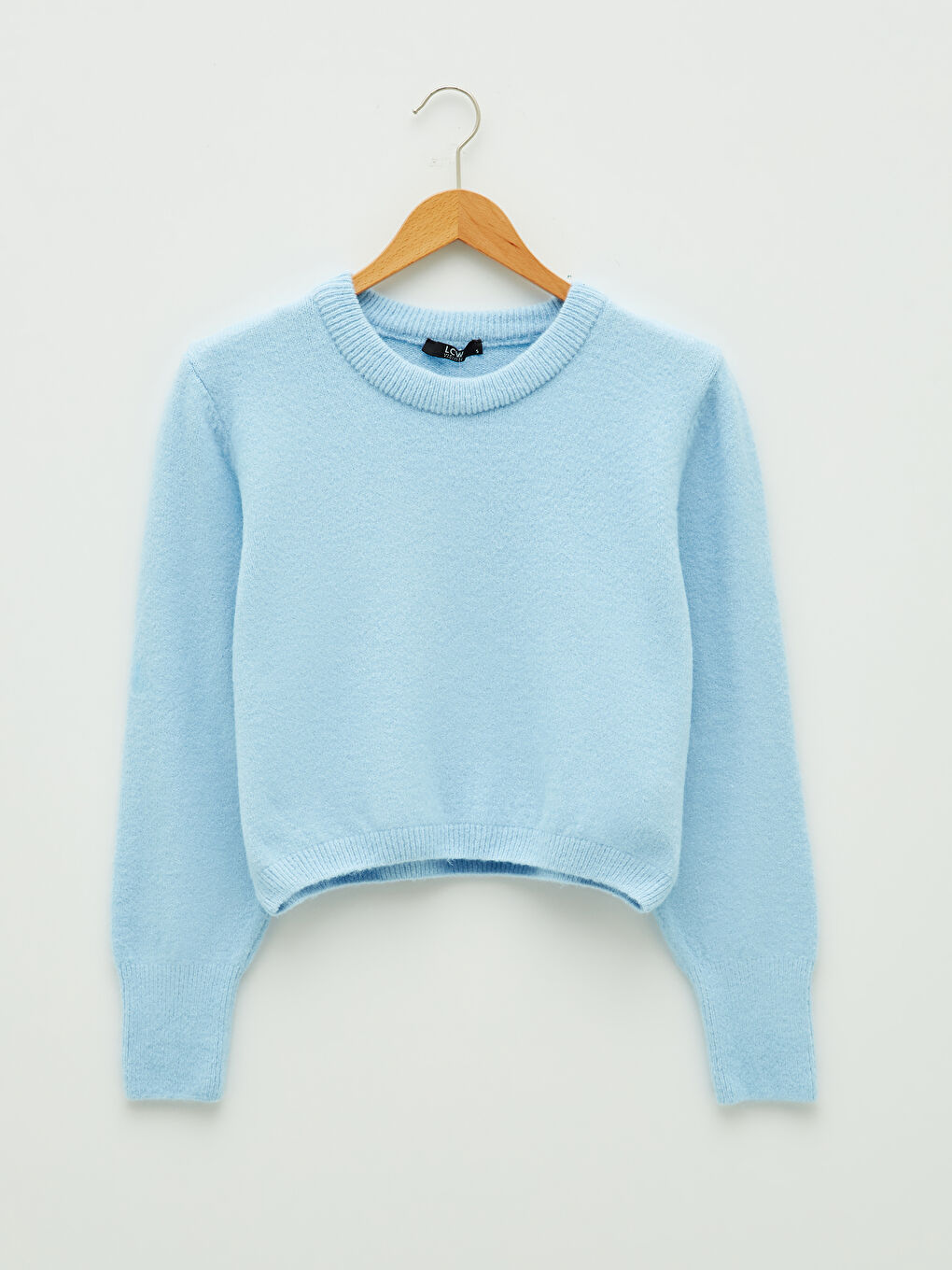 Crew Neck Regular Long Sleeve Women's Jumper-5