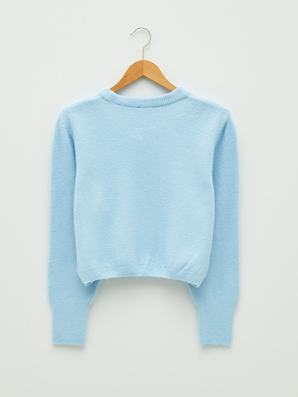 Crew Neck Regular Long Sleeve Women's Jumper-6