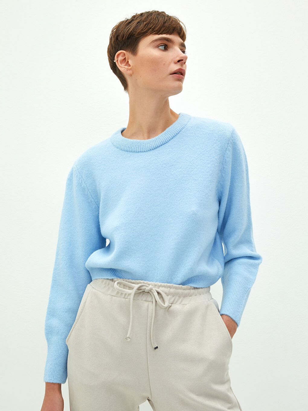 Crew Neck Regular Long Sleeve Women's Jumper