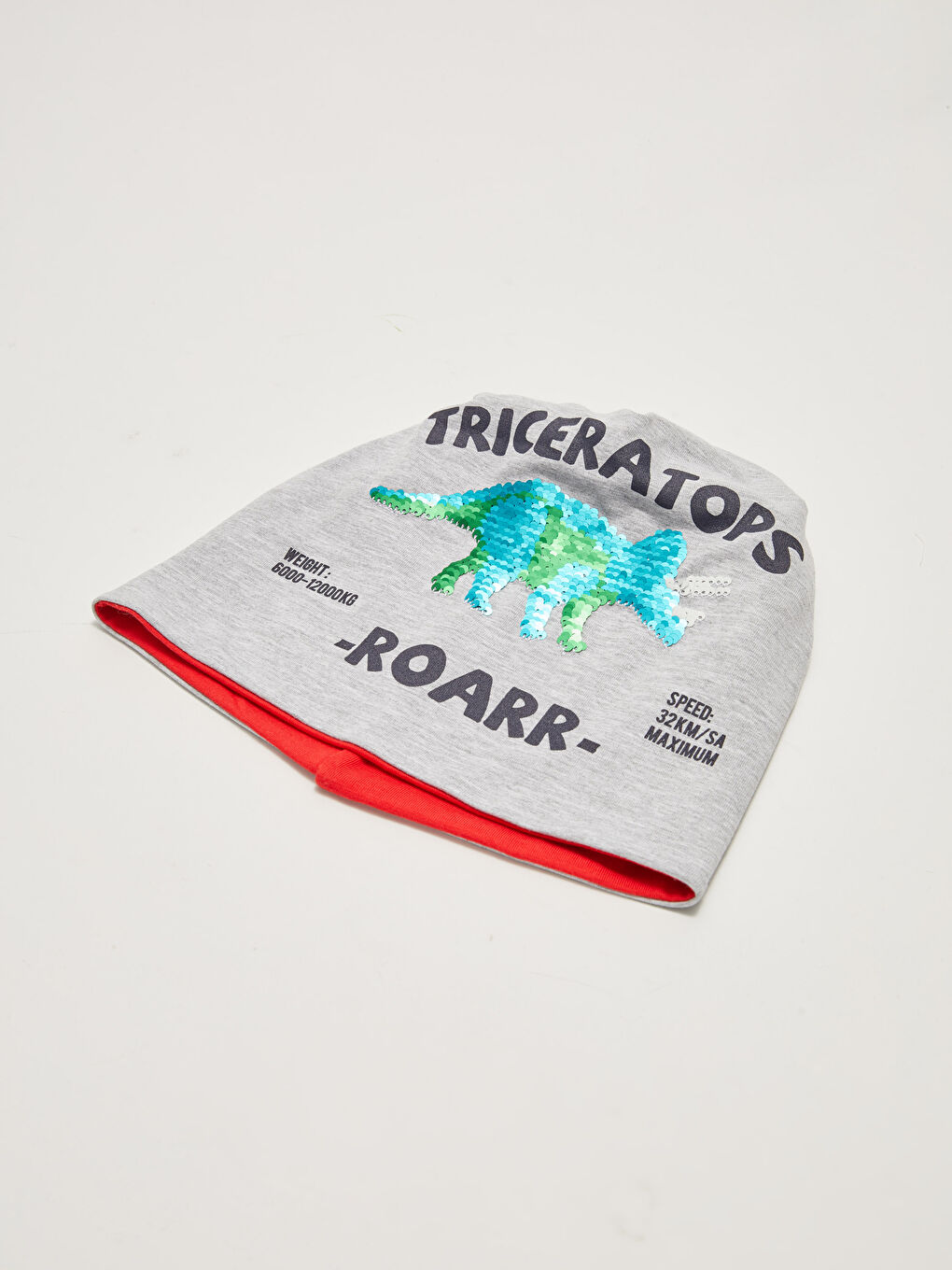 Dinosaur Sequined Boy Beanie