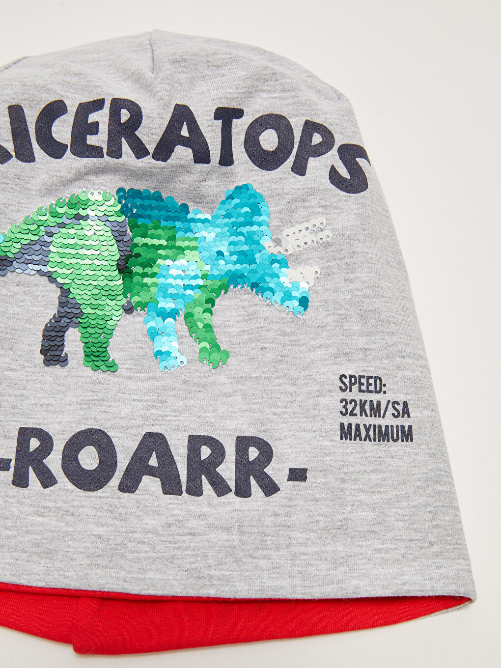 Dinosaur Sequined Boy Beanie-1