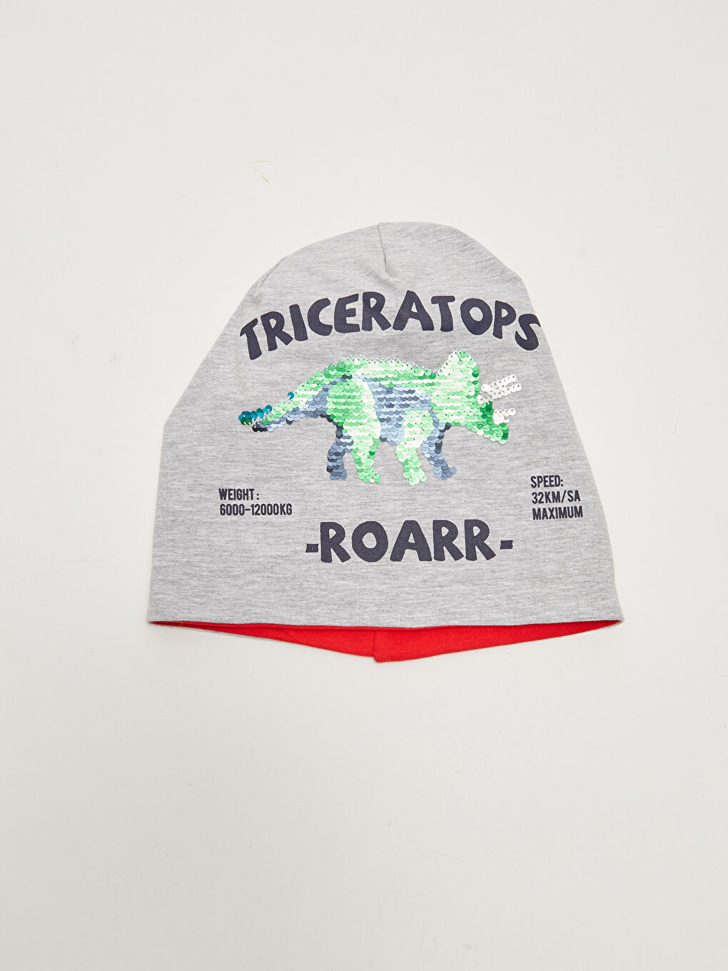 Dinosaur Sequined Boy Beanie-2