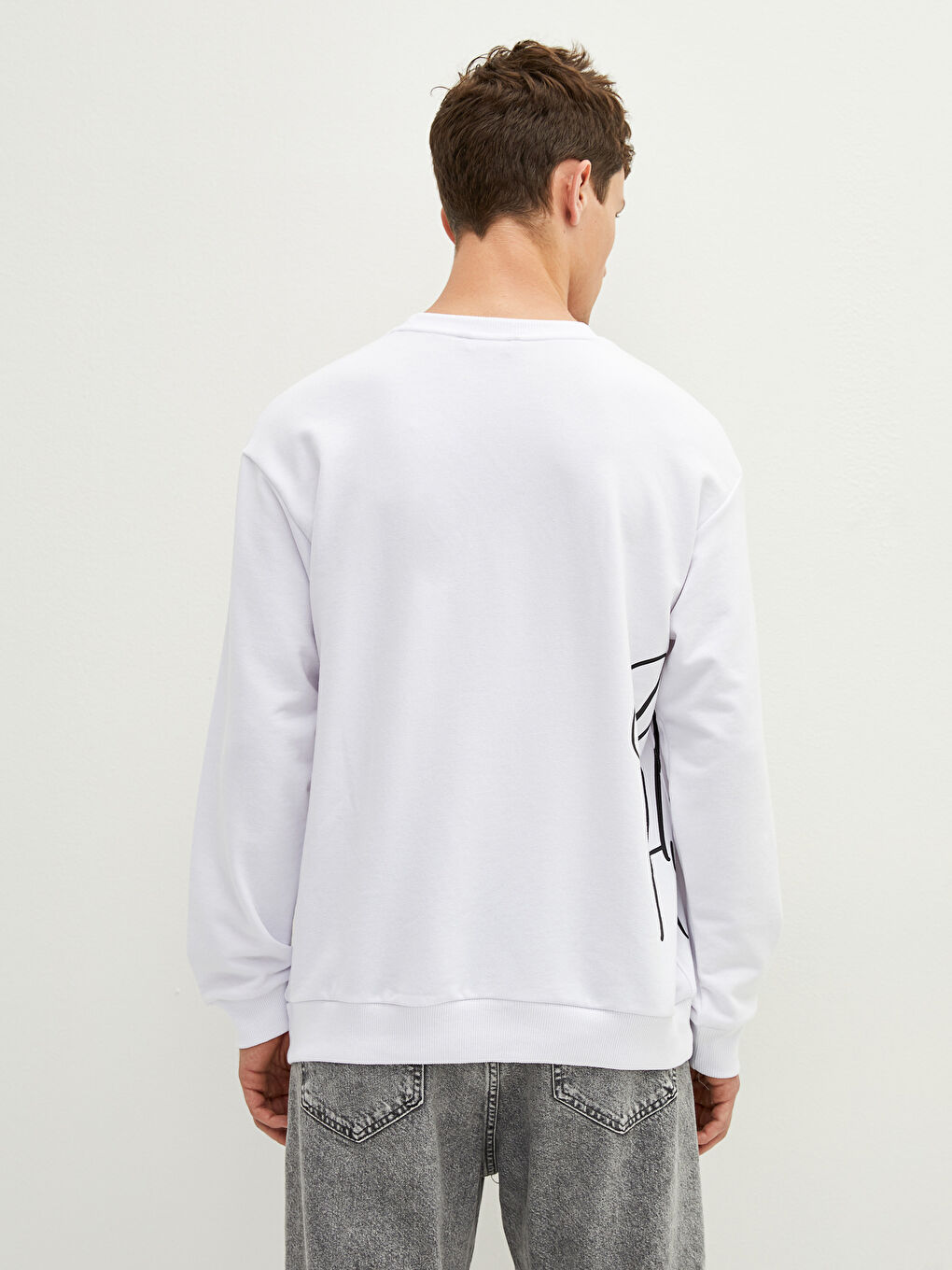 Crew Neck Long Sleeve Printed Thick Men's Sweatshirt-3