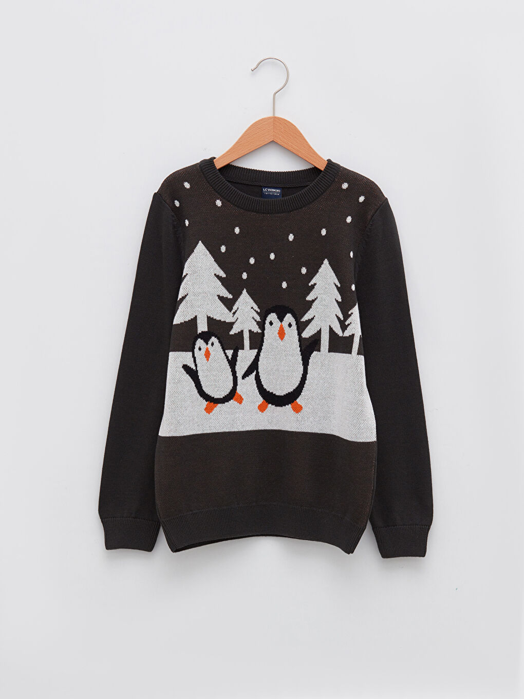 LCW Kids Crew Neck Patterned Long Sleeve Boy Thin Tricot Sweater -W15916Z4-LE0