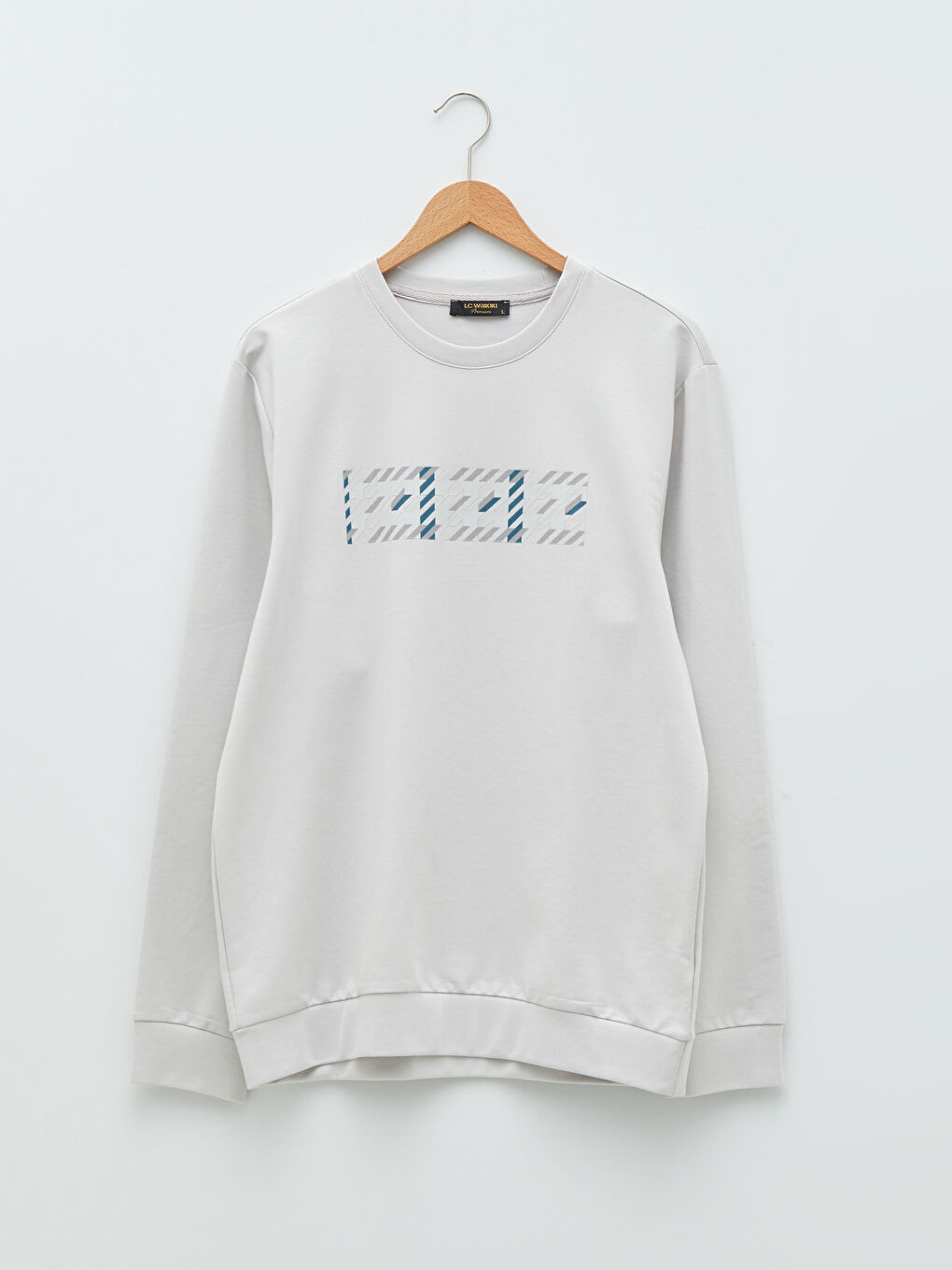 Crew Neck Long Sleeve Printed Men's Sweatshirt-5