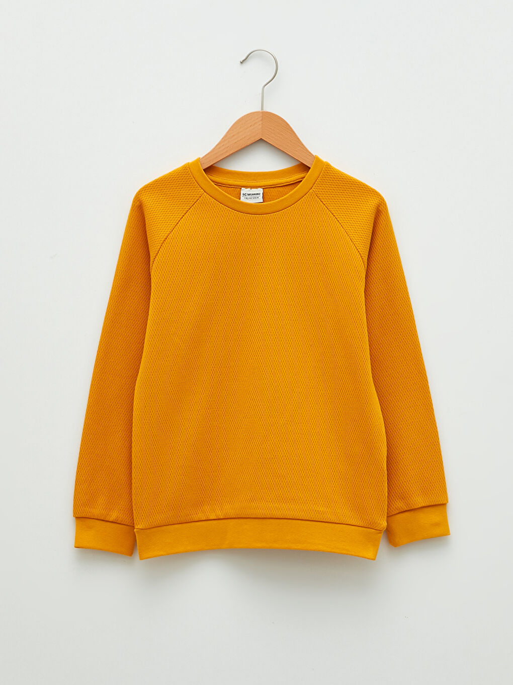 LCW Kids Crew Neck Basic Long Sleeve Boys' T-Shirt -W16297Z4-KG0
