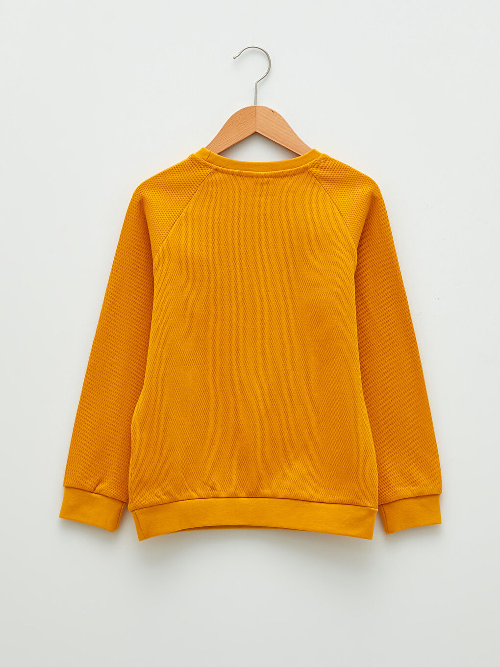 LCW Kids Crew Neck Basic Long Sleeve Boys' T-Shirt -W16297Z4-KG0