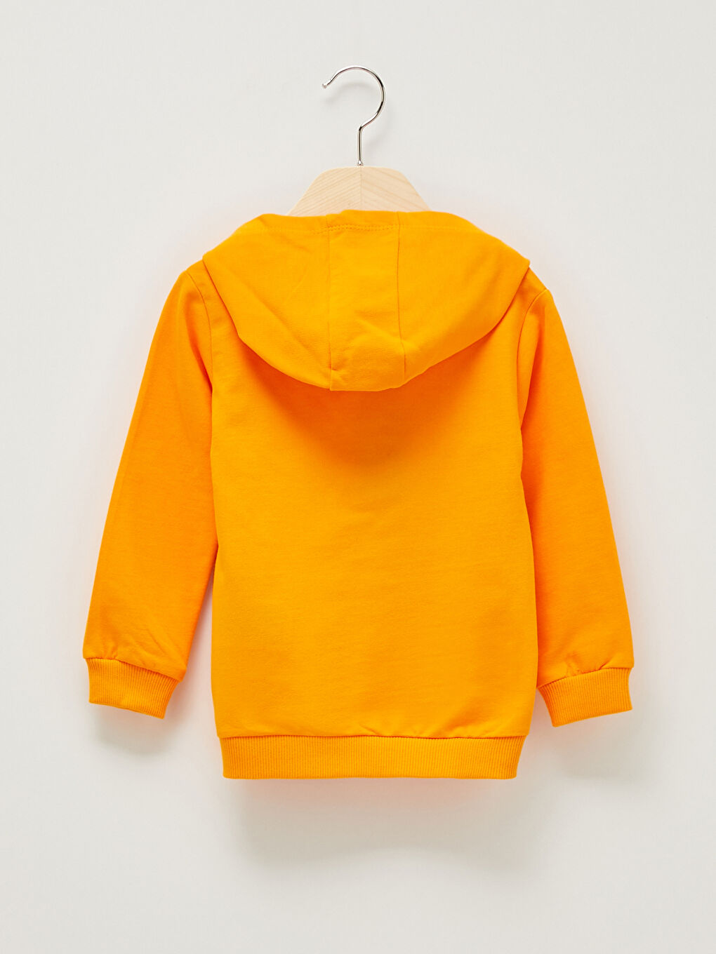 Long Sleeve Printed Baby Boy Hoodie-1