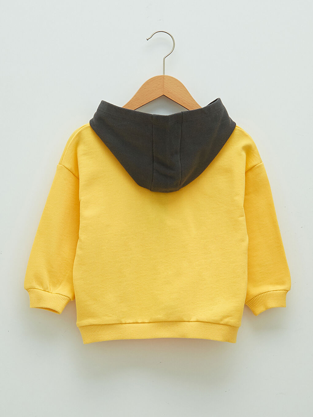 Long Sleeve Printed Baby Boy Hoodie-1