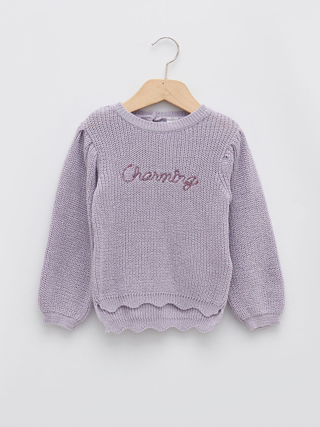 Crew Neck Long Sleeve Embroidery Detailed Baby Girl Knitwear Sweater