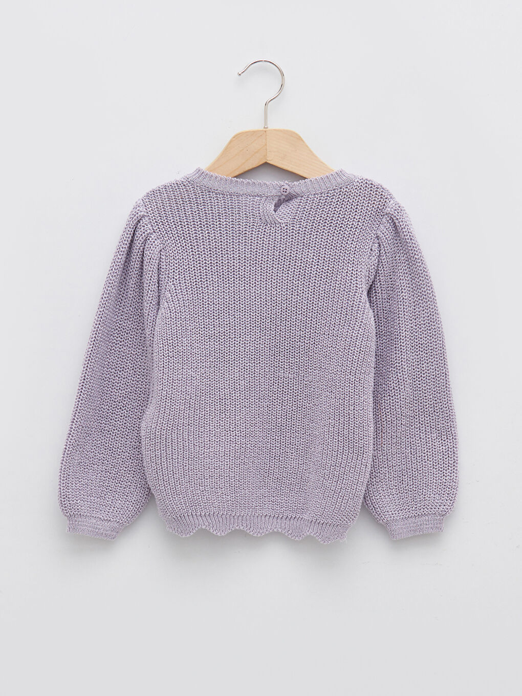 Crew Neck Long Sleeve Embroidery Detailed Baby Girl Knitwear Sweater-1