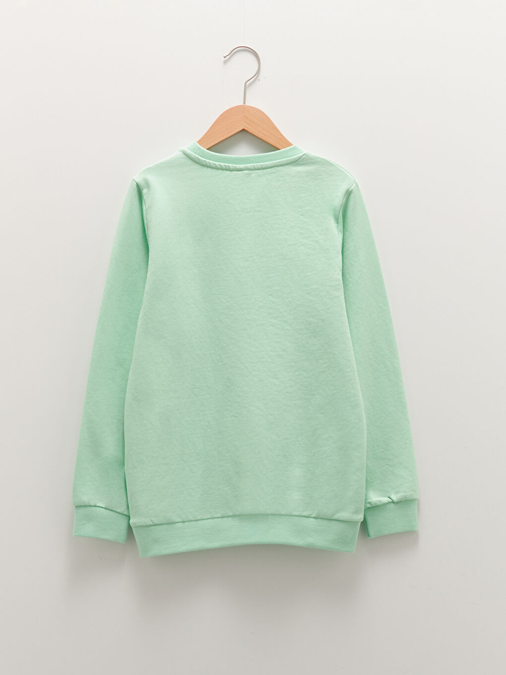 Crew Neck Basic Long Sleeve Boys' Sweatshirt-1