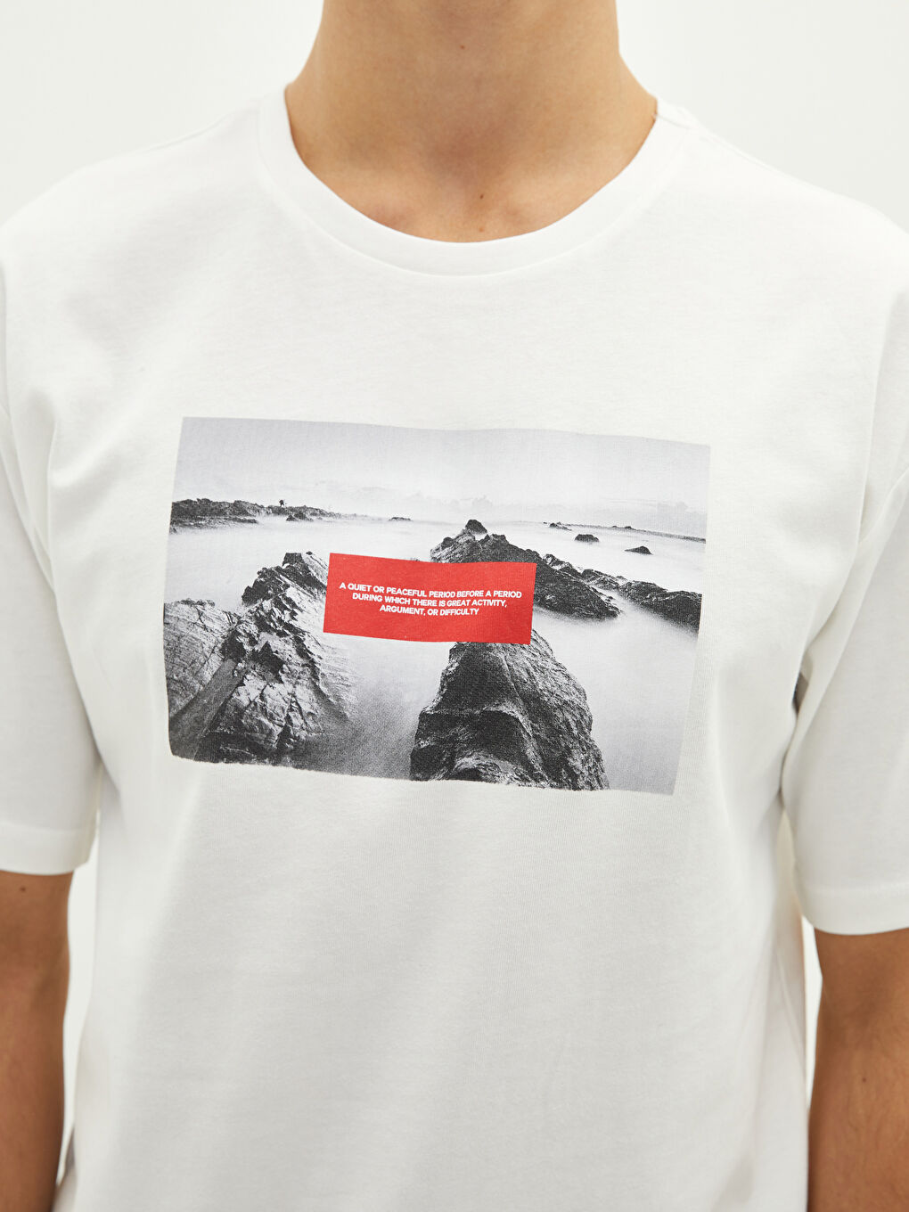 Beyaz Bisiklet Yaka Kısa Kollu Baskılı Penye Erkek Tişört-3