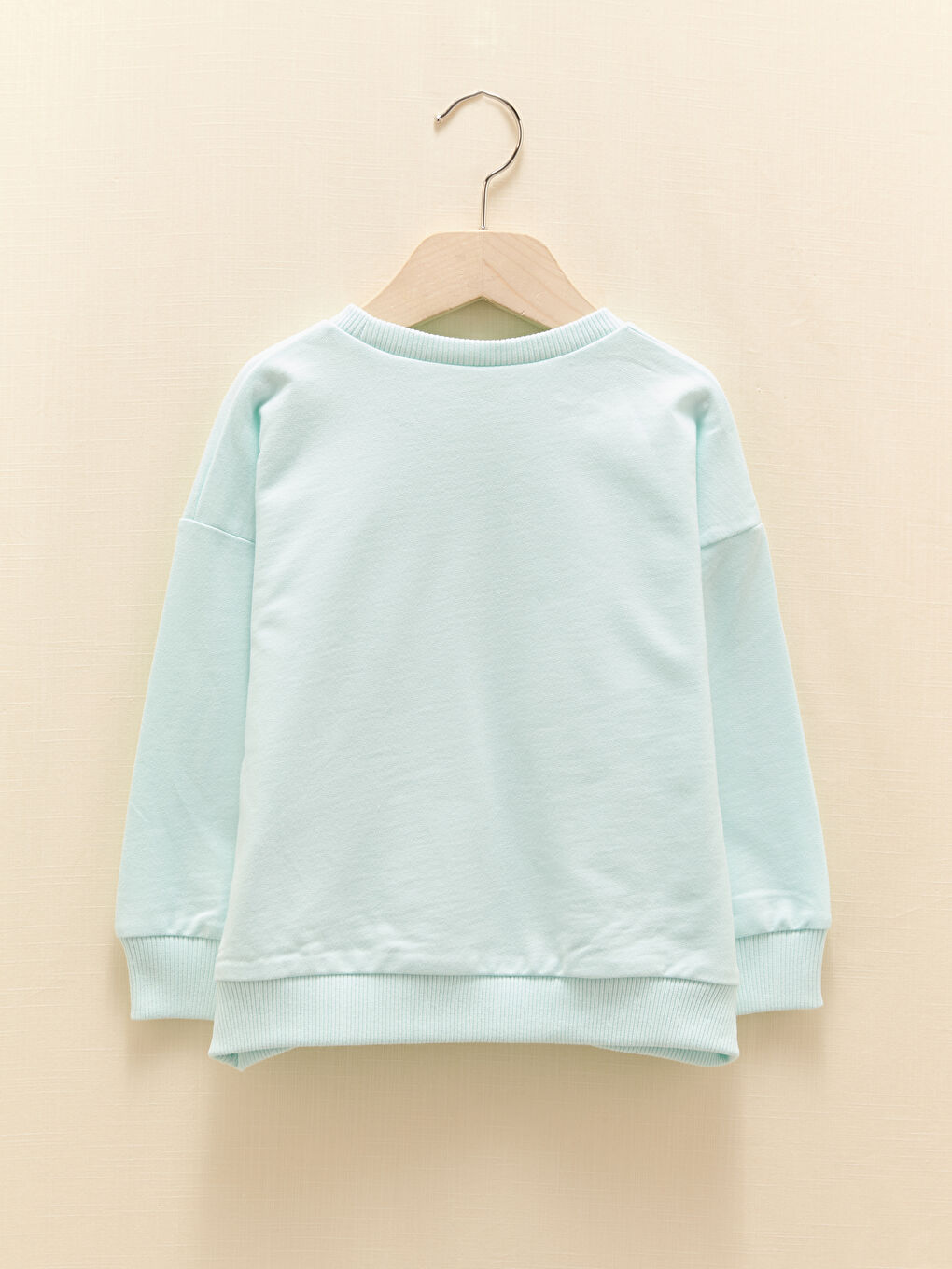 Crew Neck Long Sleeve Printed Baby Boys' Sweatshirt-4