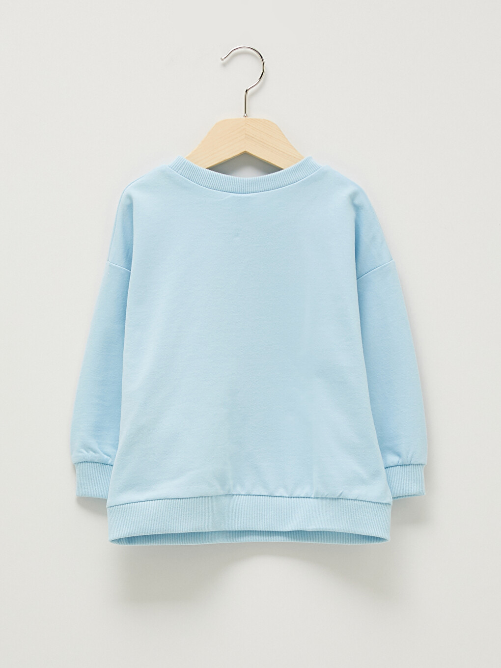 Crew Neck Long Sleeve Basic Baby Boys' Sweatshirt-1