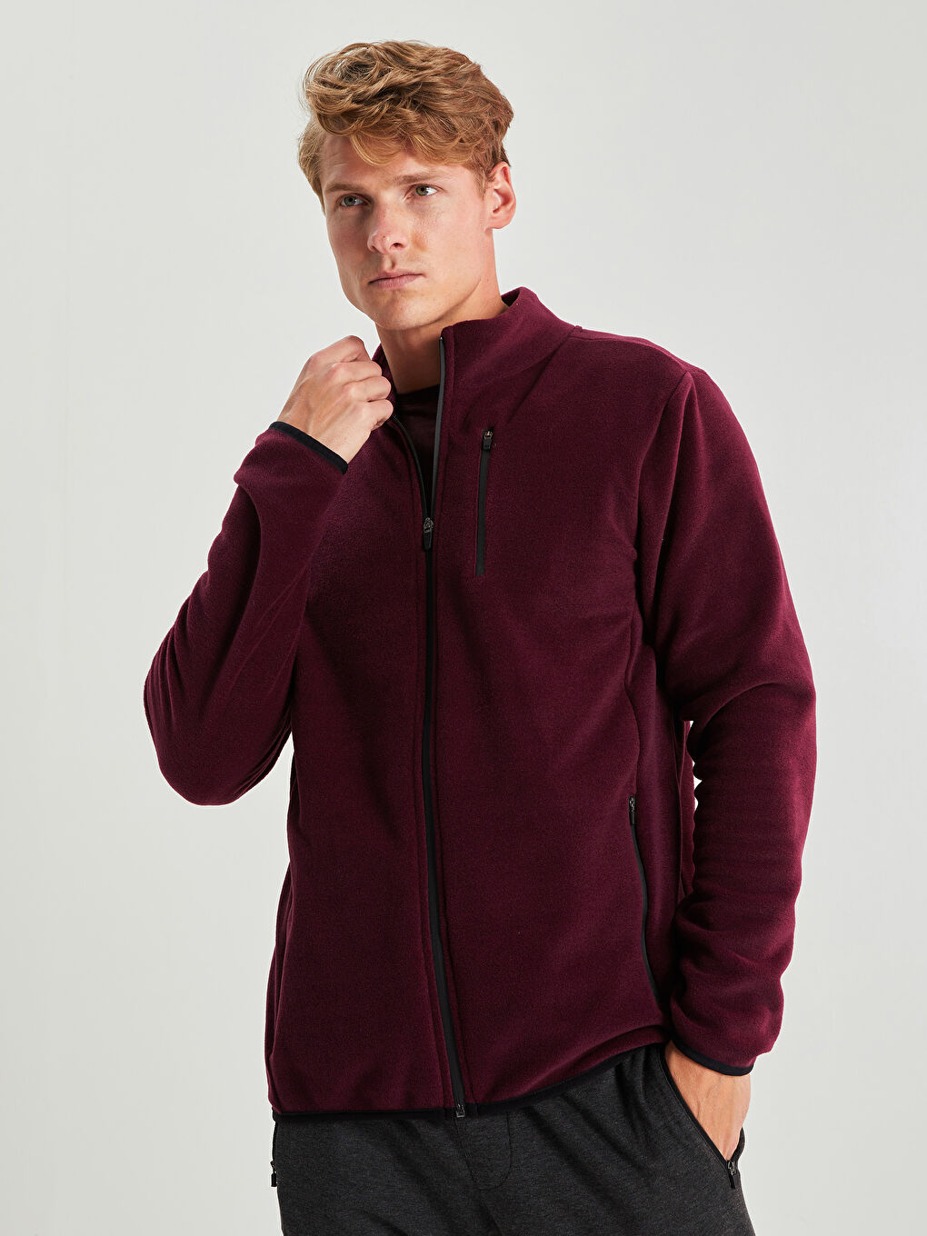 Mürdüm Standart Kalıp Dik Yaka Polar Erkek Spor Hırka-1