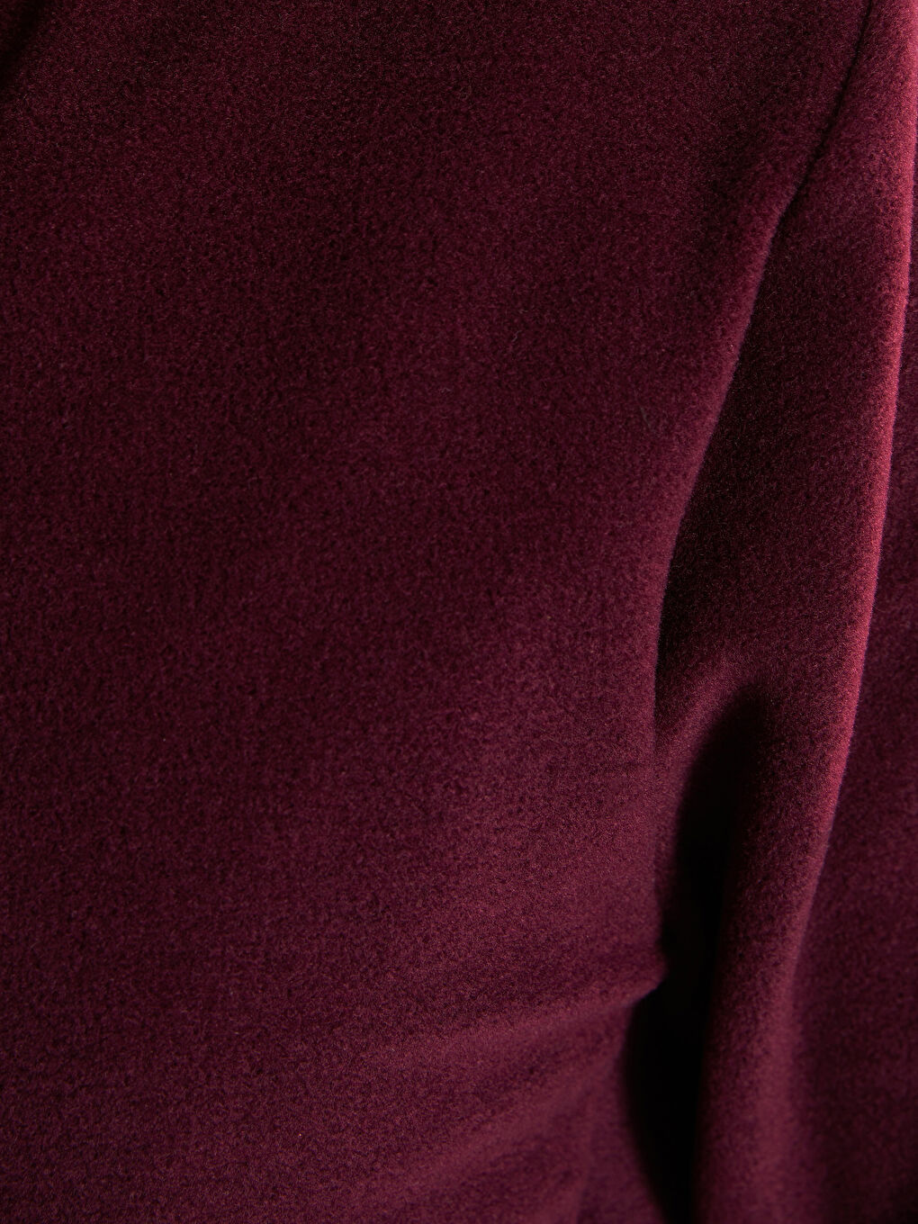 Mürdüm Standart Kalıp Dik Yaka Polar Erkek Spor Hırka-2