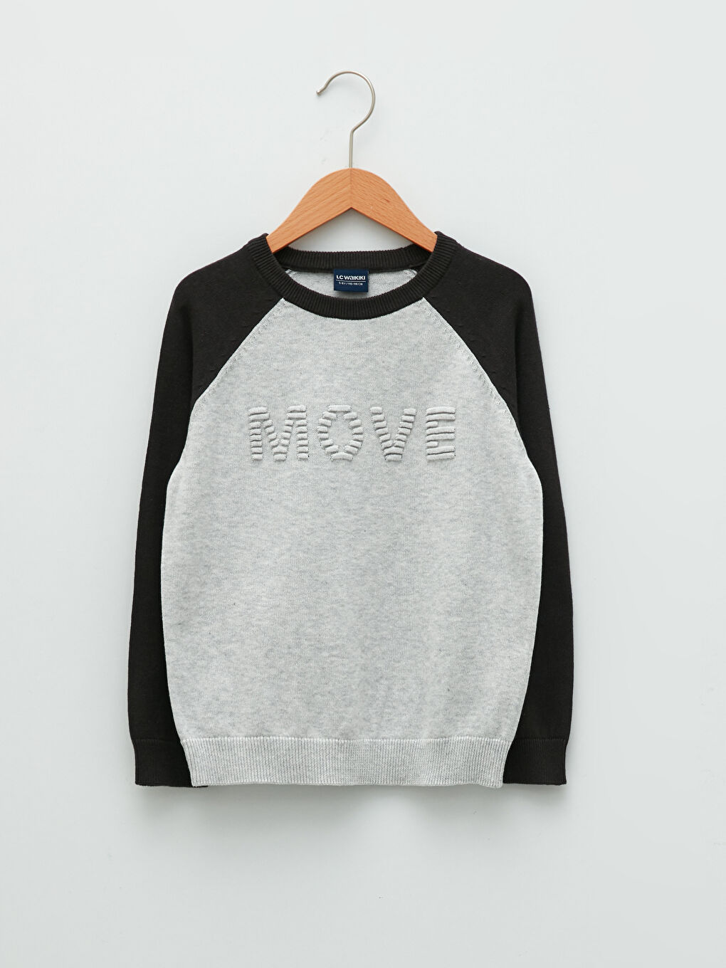 Crew Neck Embossed Letter Detailed Long Sleeve Boy's Thin Knitwear Sweater