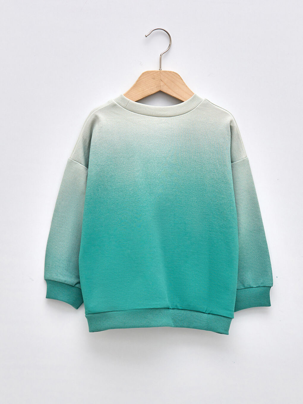 LCW baby Crew Neck Long Sleeve Printed Baby Boys' Sweatshirt -W1BN77Z1-G6F