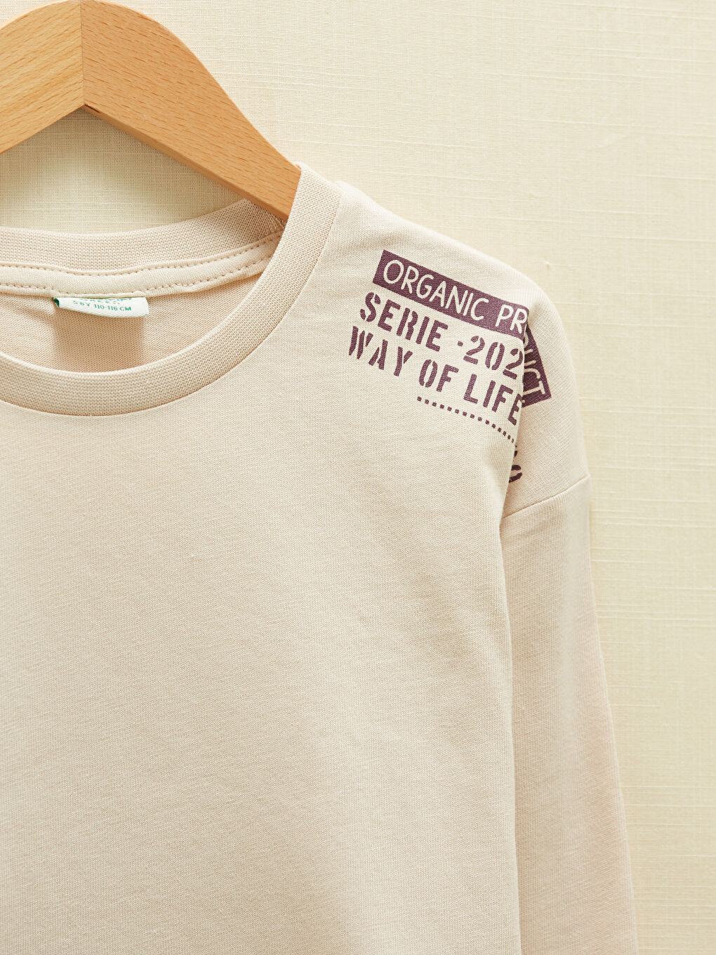 Crew Neck Printed Long Sleeve Boys' T-Shirt-1