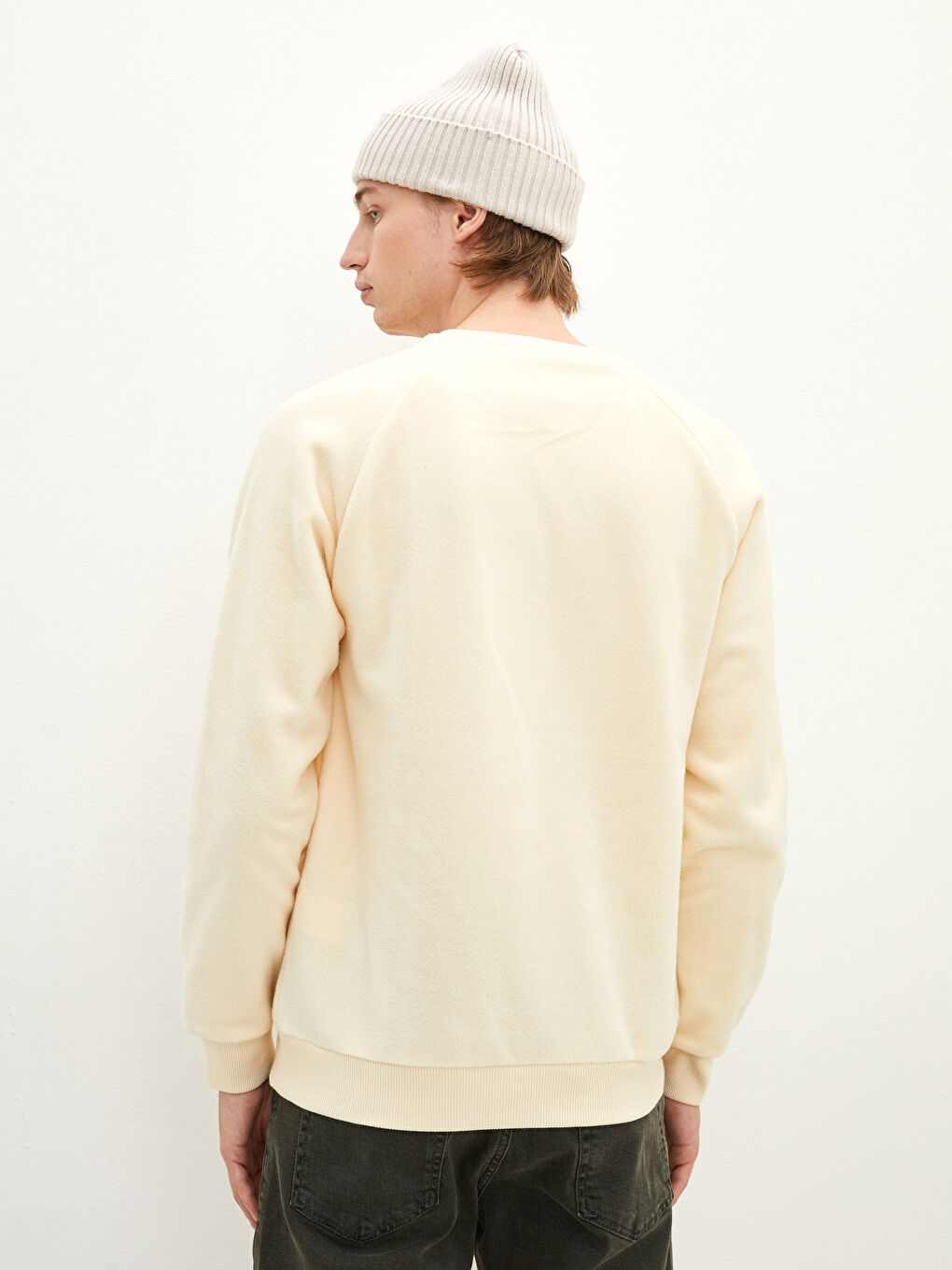 Crew Neck Long Sleeve Plush Men's Sweatshirt-4
