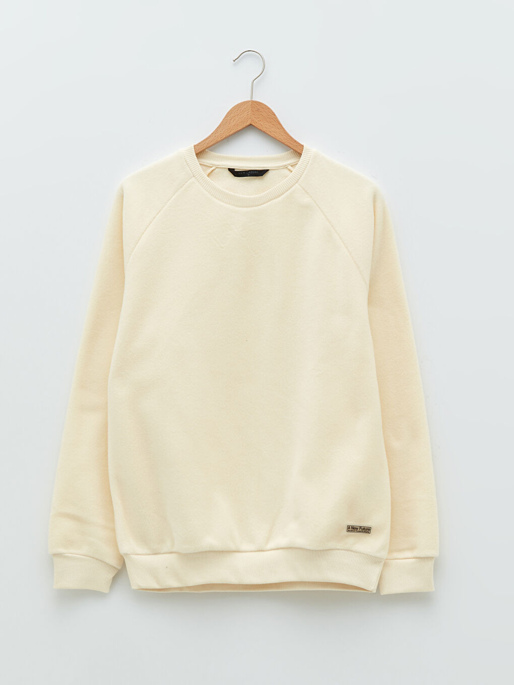 Crew Neck Long Sleeve Plush Men's Sweatshirt-5