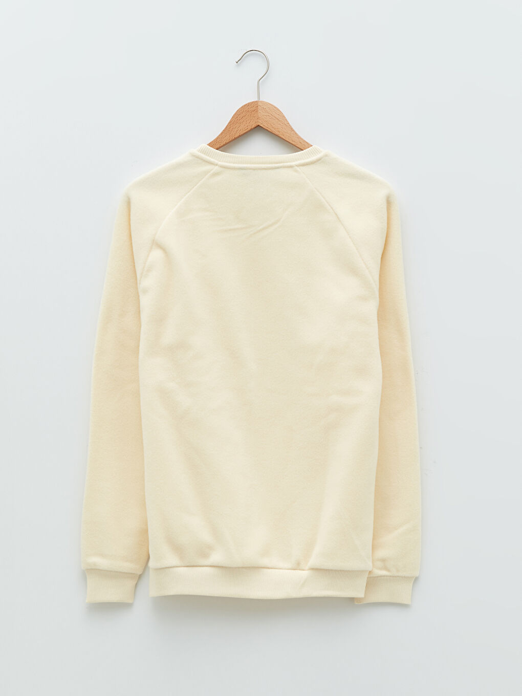 Crew Neck Long Sleeve Plush Men's Sweatshirt-6