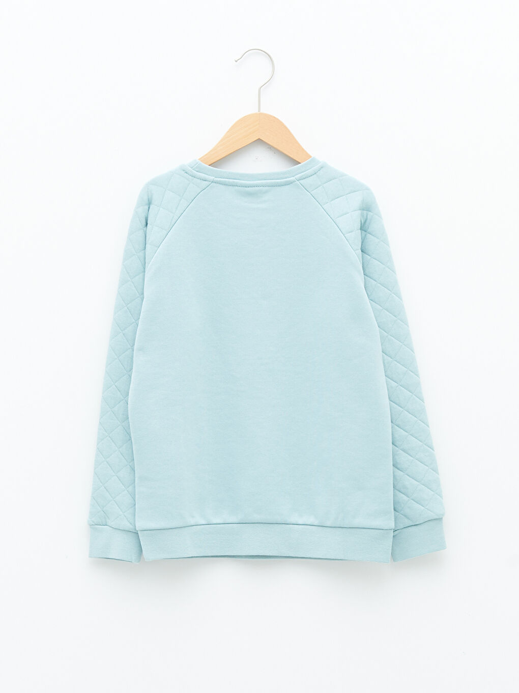 Crew Neck Printed Long Sleeve Boys' Sweatshirt-1