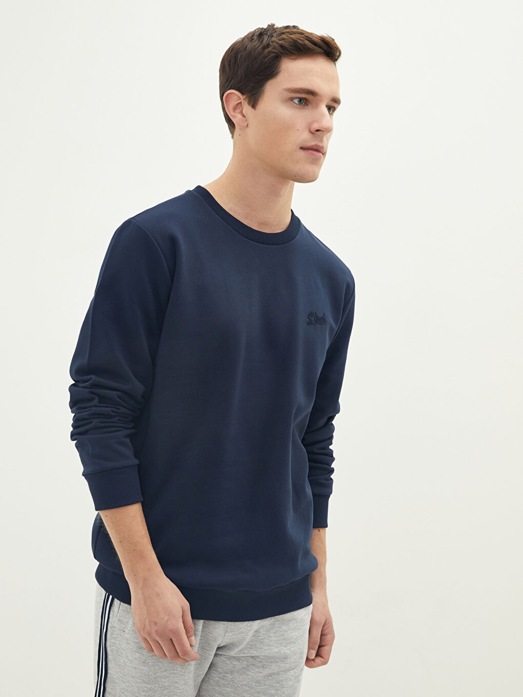 Crew Neck Printed Men's Thick Sweatshirt