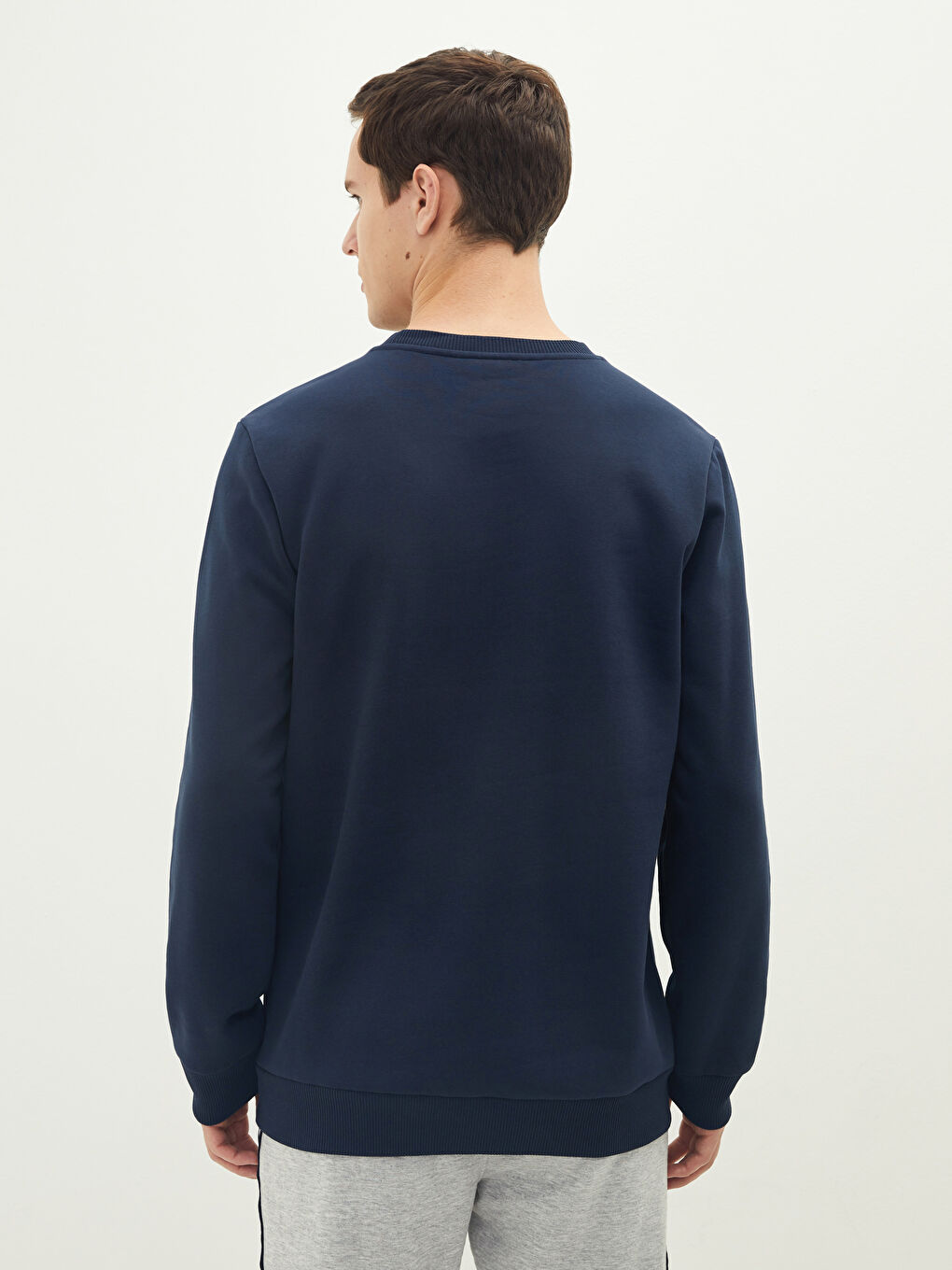 Crew Neck Printed Men's Thick Sweatshirt-4