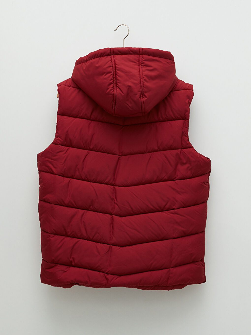 Gilet à Capuche pour Hommes Coupe Standard-6
