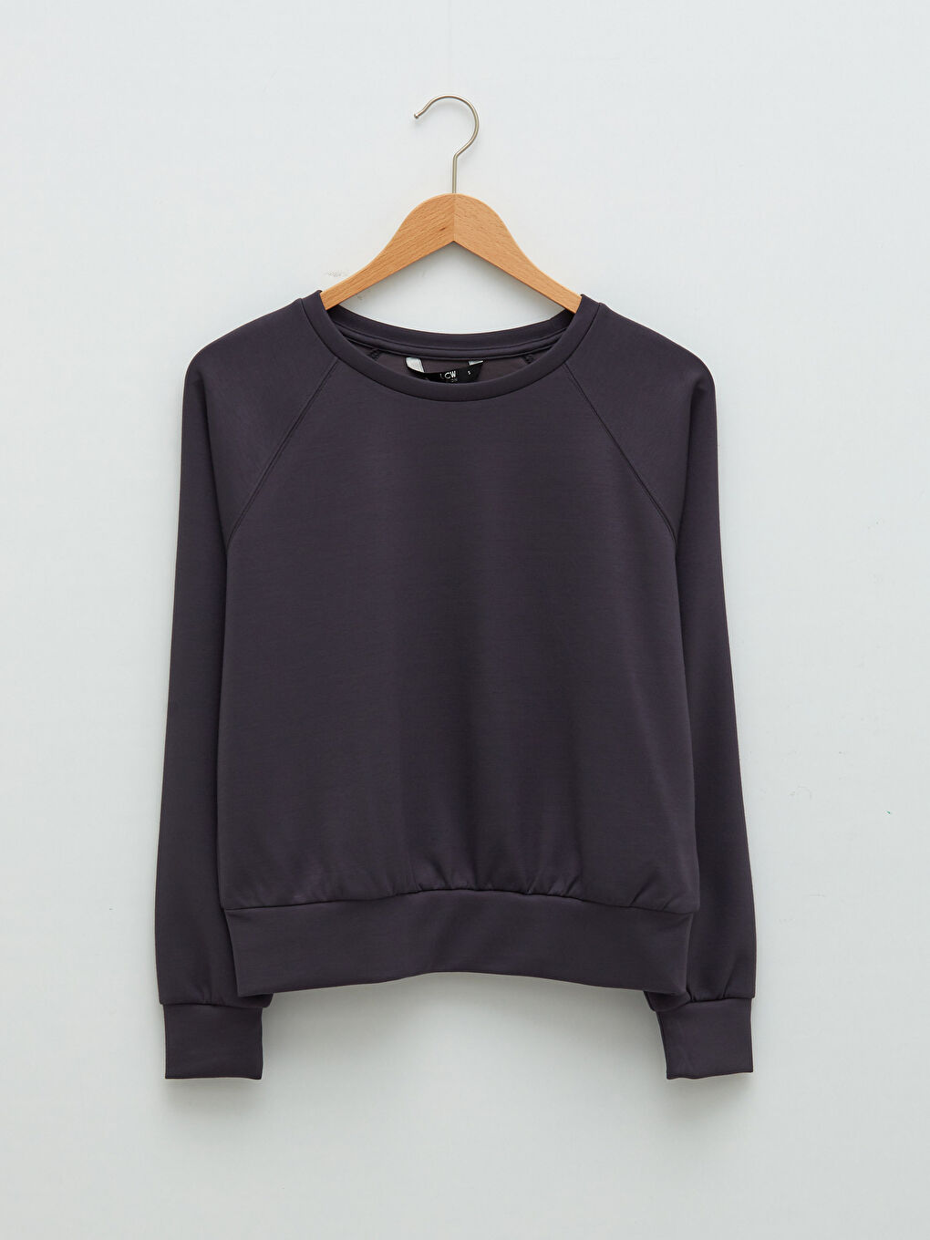 Crew Neck Plain Long Sleeve Women's Sweatshirt-5