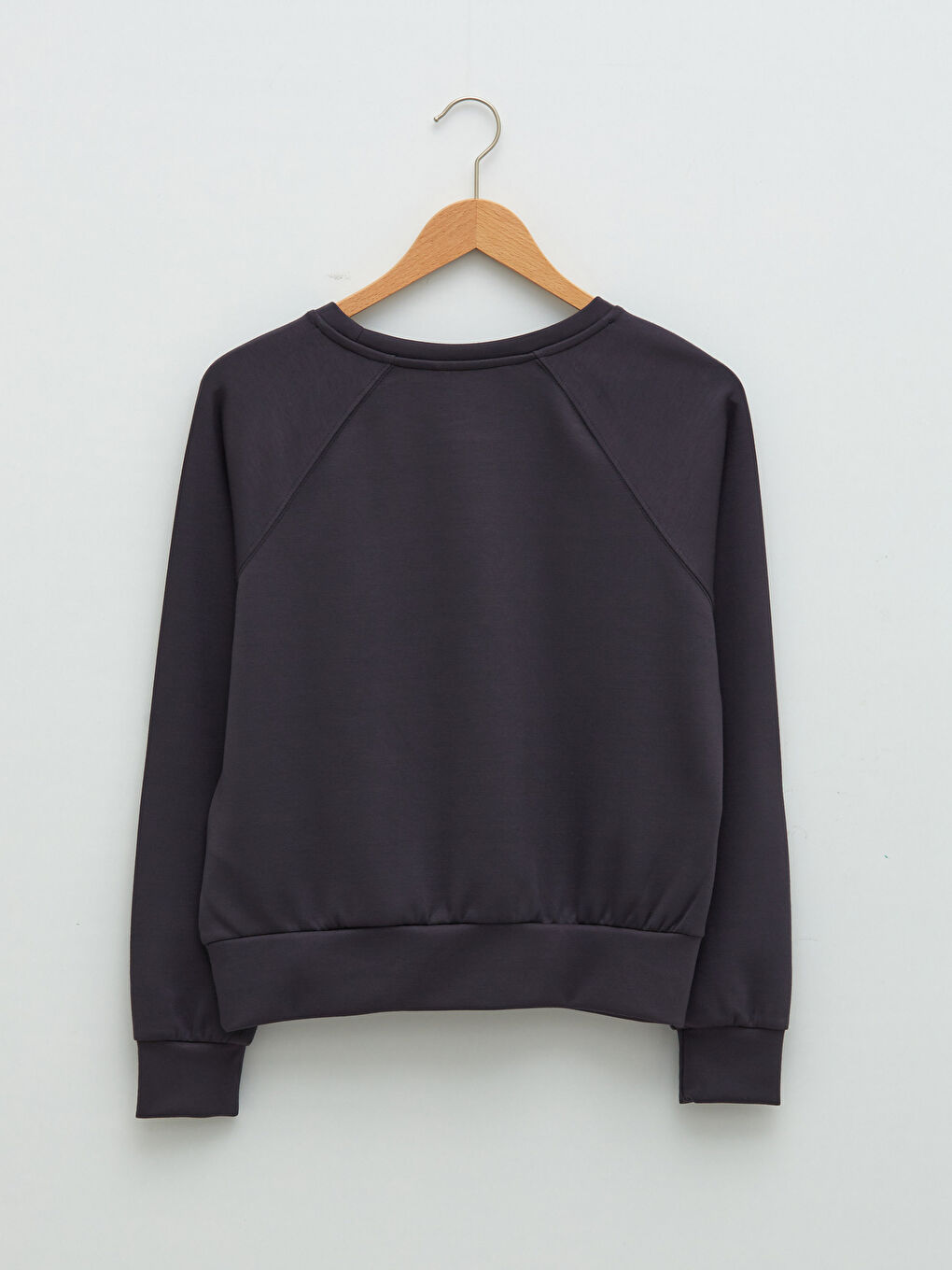 Crew Neck Plain Long Sleeve Women's Sweatshirt-6