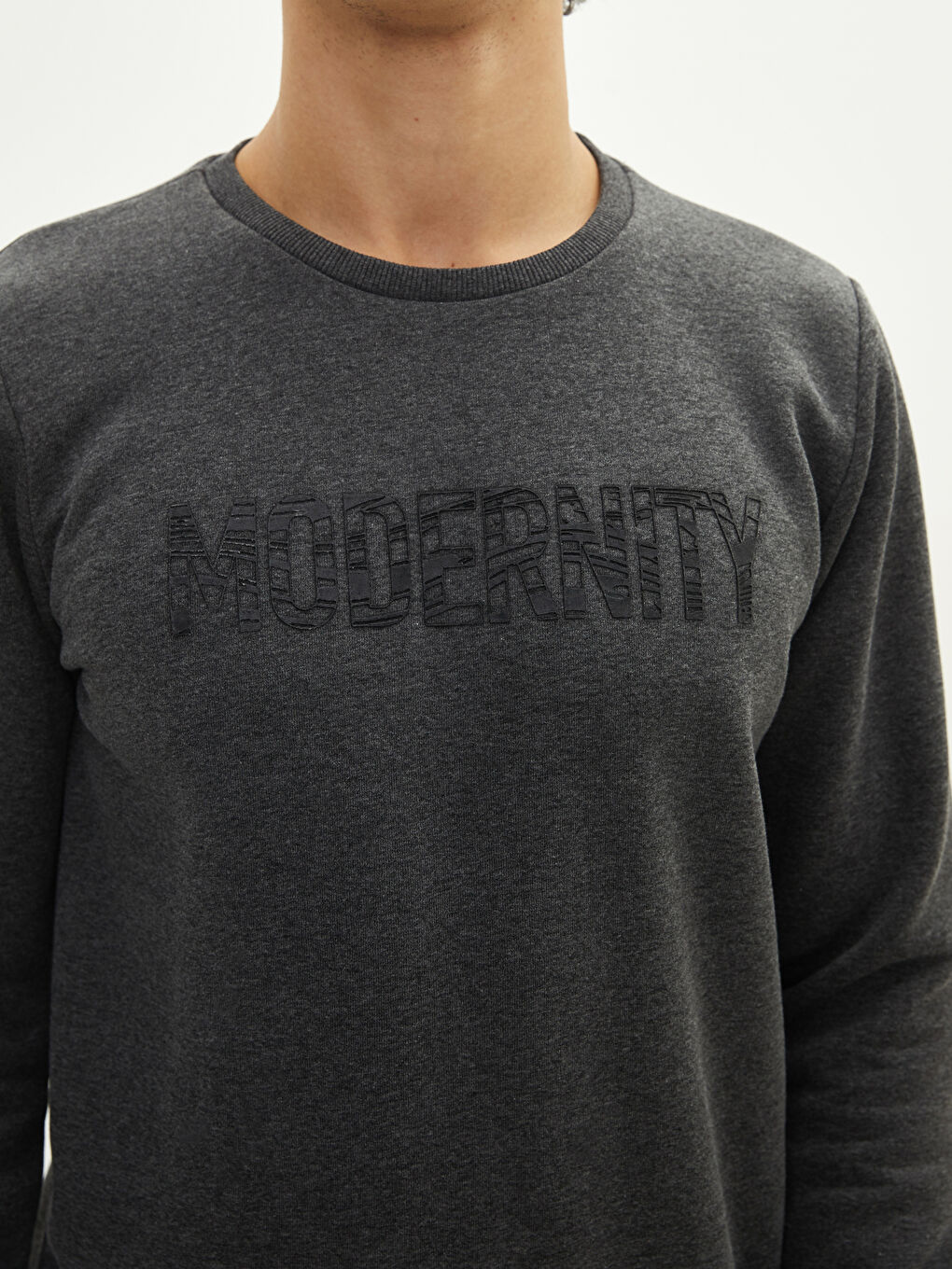 Crew Neck Printed Men's Thick Sweatshirt-3