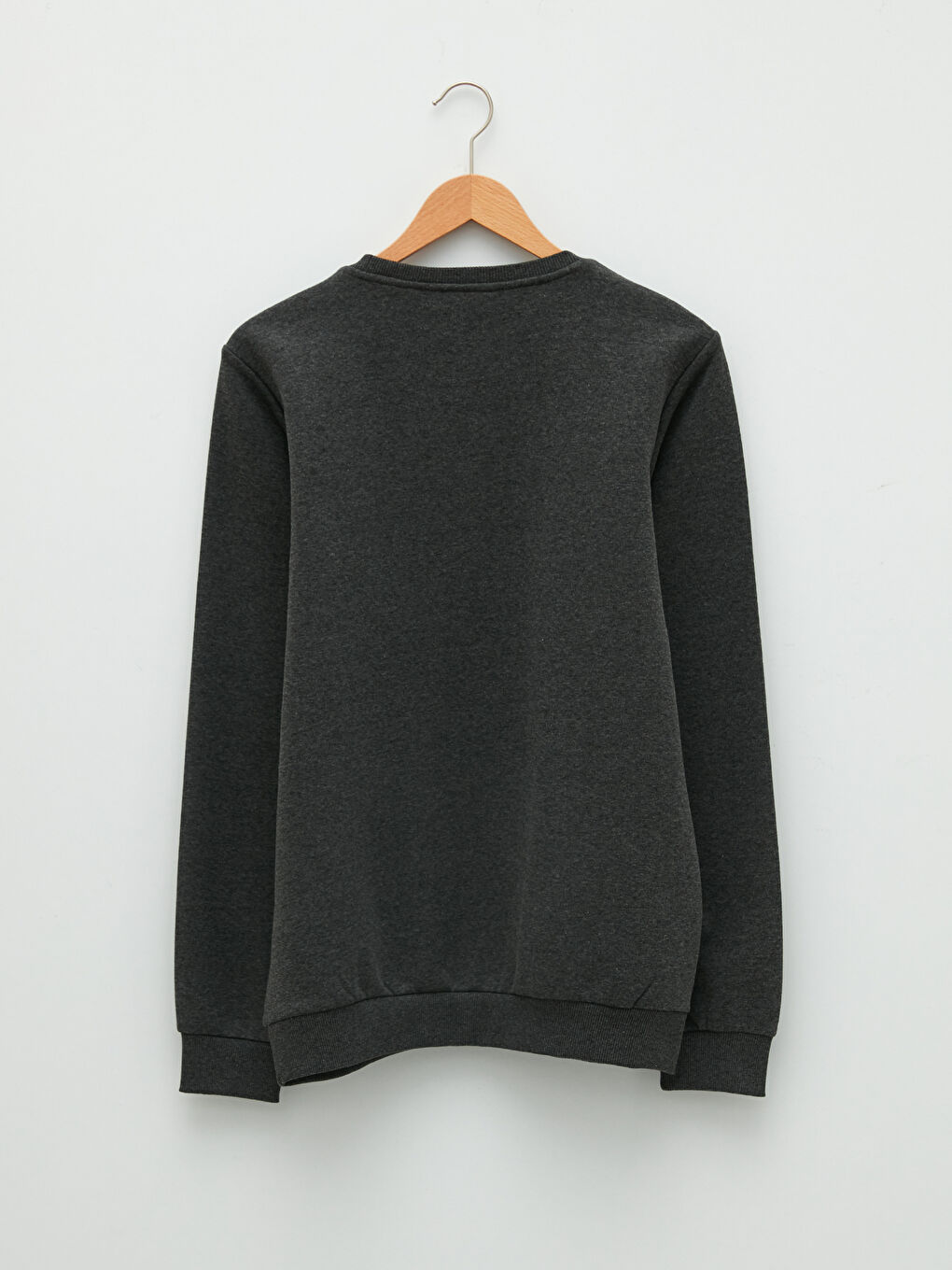 Crew Neck Printed Men's Thick Sweatshirt-6