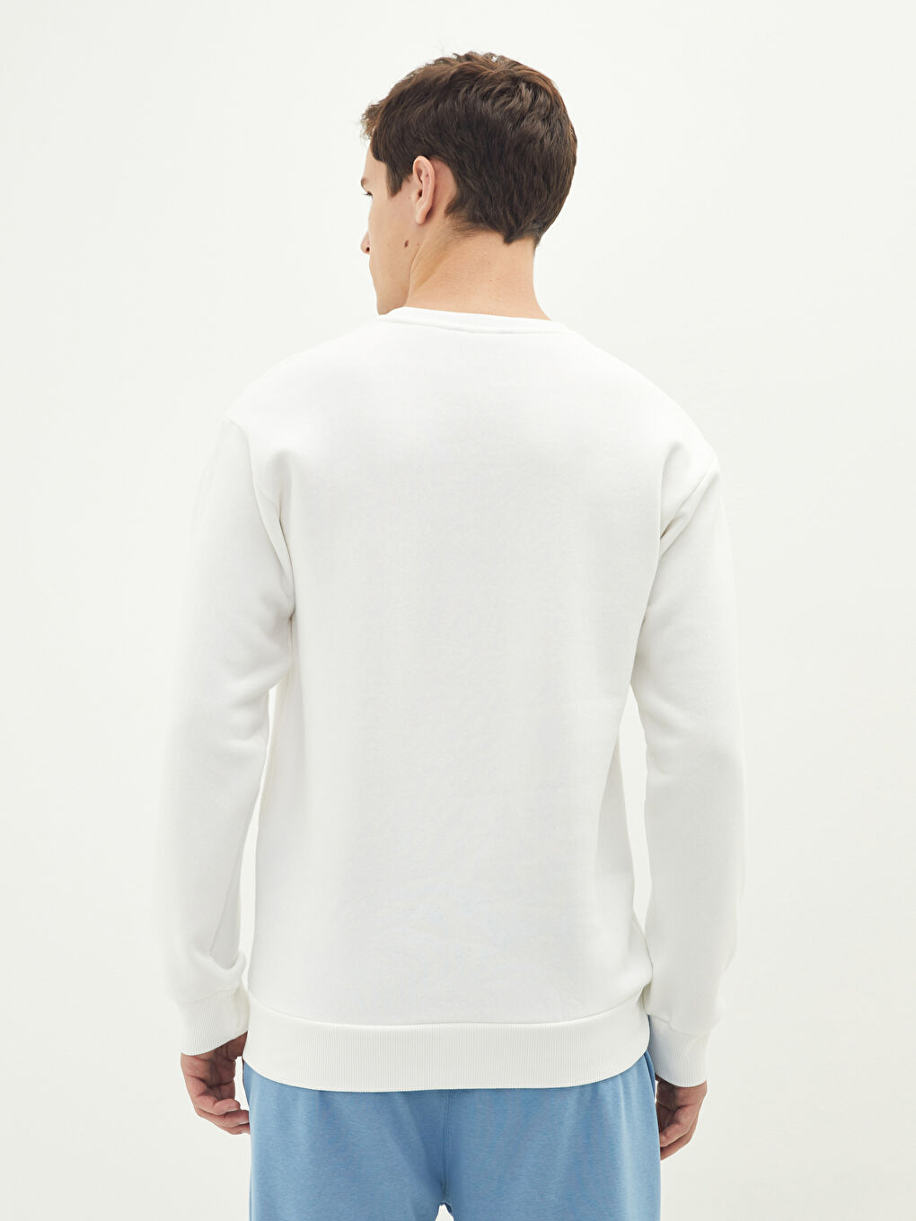 Crew Neck Printed Men's Thick Sweatshirt-6