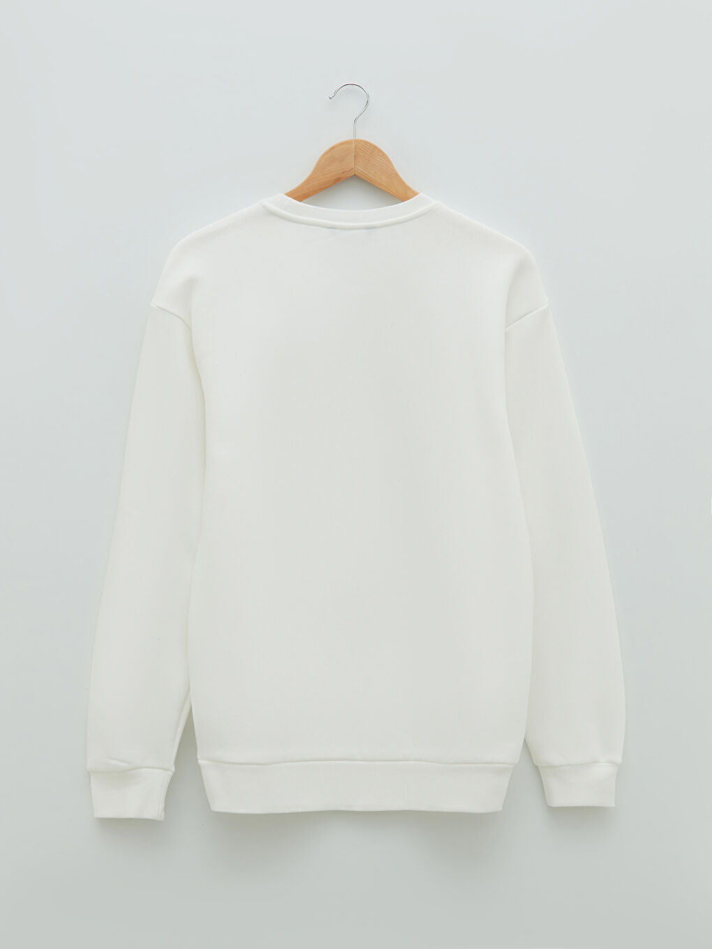 Crew Neck Printed Men's Thick Sweatshirt-1