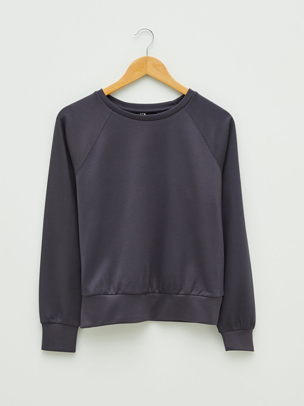 LCW Vision Rundhalsausschnitt Schlicht Langarm Damen-Sweatshirt -W1FE17Z8-HGV