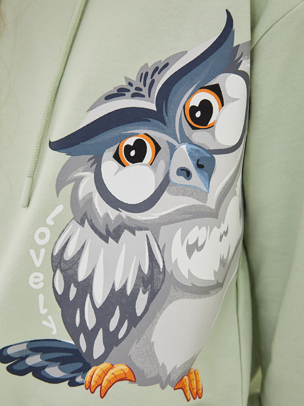 LCW Vision Hoodie Owl Printed Long Sleeve Women's Sweatshirt -W1FF72Z8-G8D