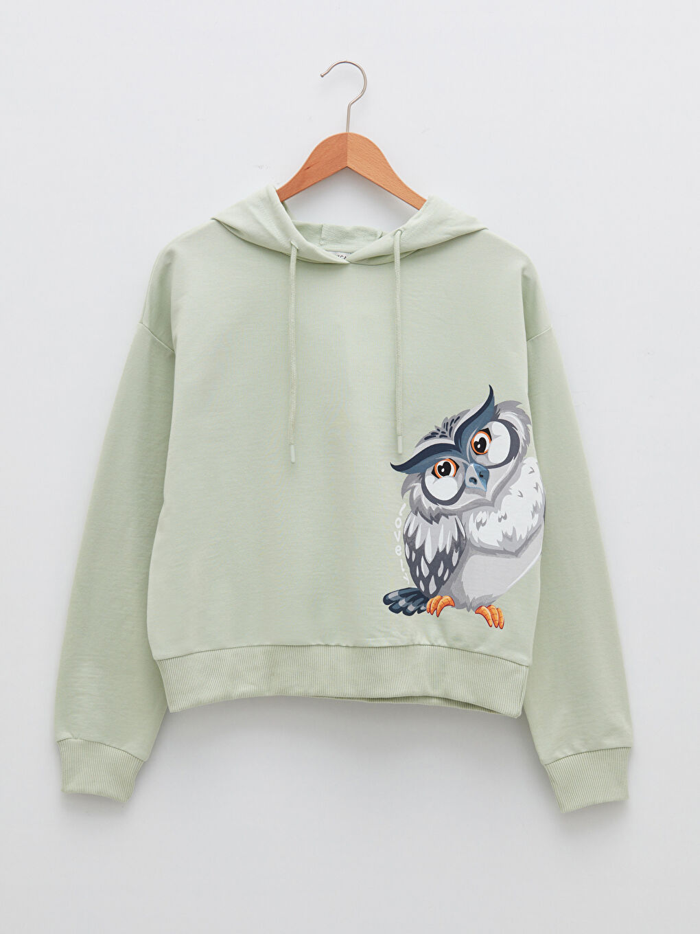 LCW Vision Hoodie Owl Printed Long Sleeve Women's Sweatshirt -W1FF72Z8-G8D