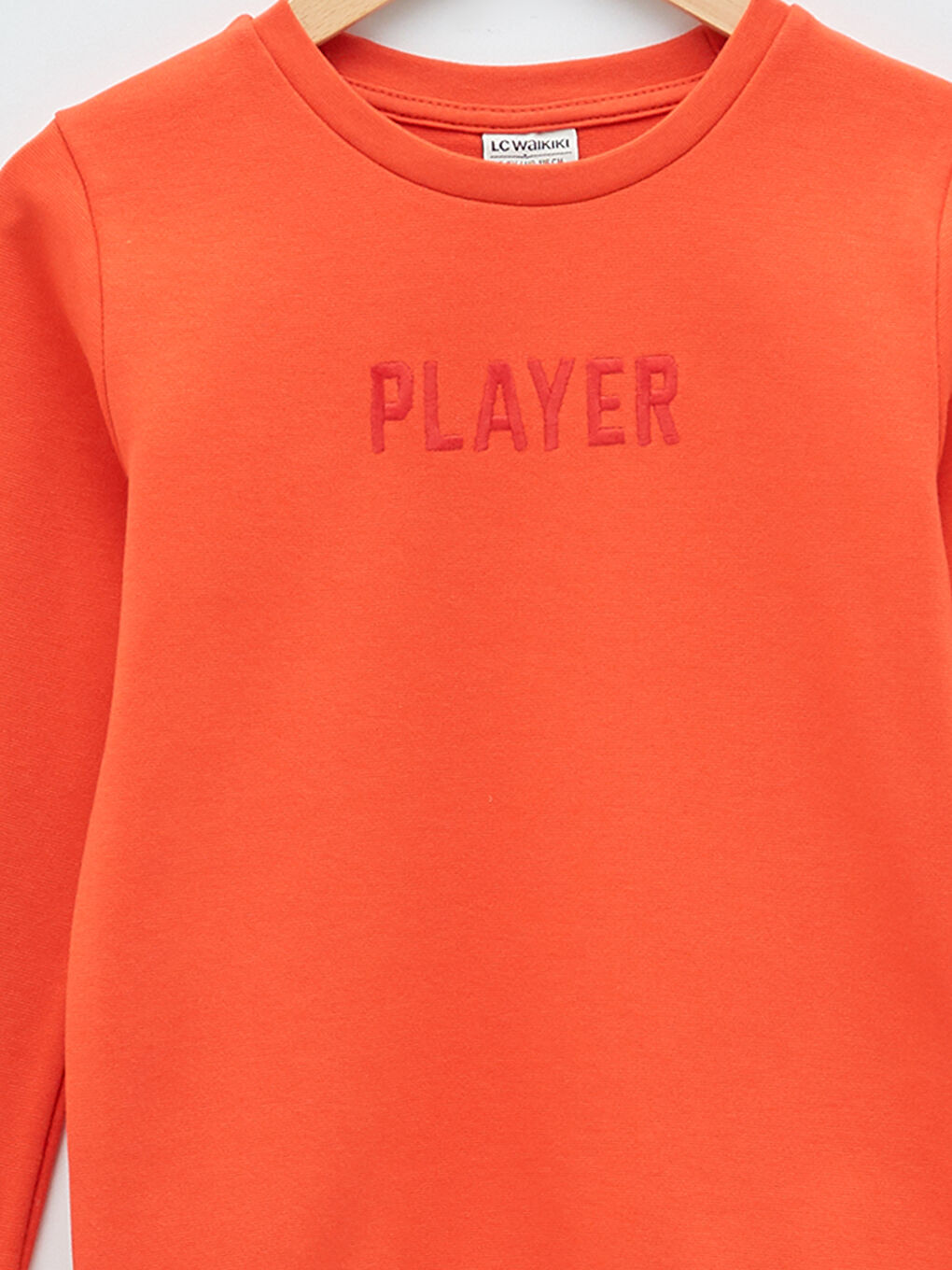 Світшот з круглим вирізом горловини, вишитими деталями та довгим рукавом для хлопчика-2