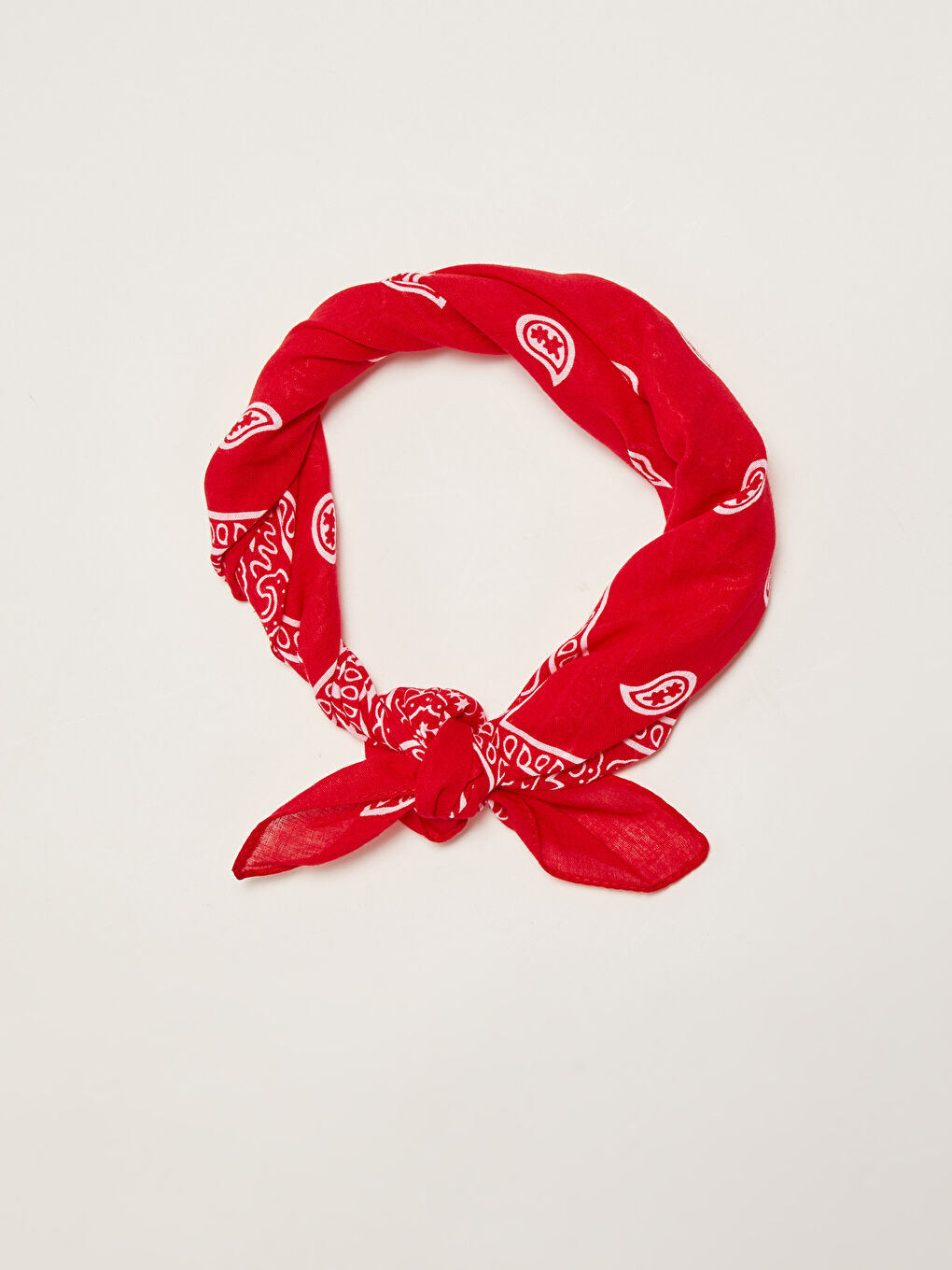 Shawl Patterned Men's Bandana-2