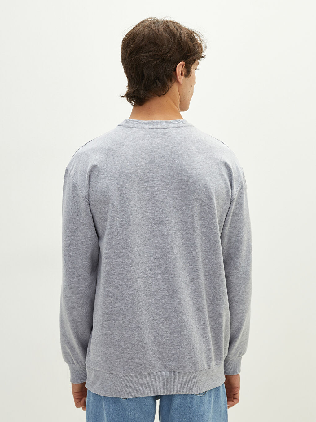 Crew Neck Long Sleeve Printed Men's Sweatshirt-4