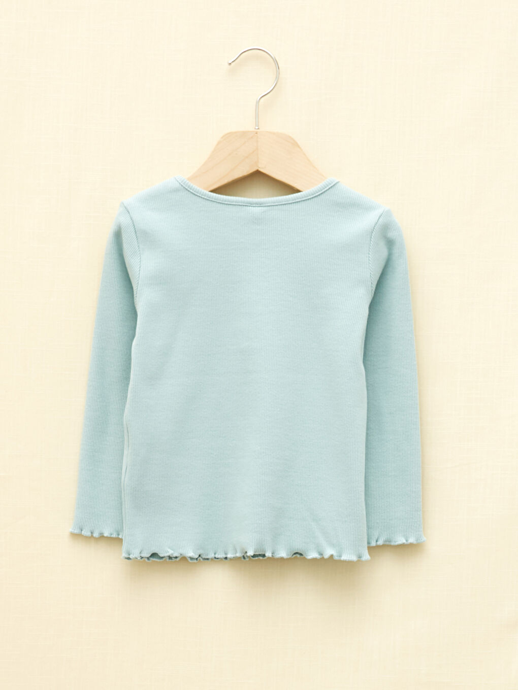 Crew Neck Long Sleeve Embroidery Detailed Baby Girl T-Shirt-1