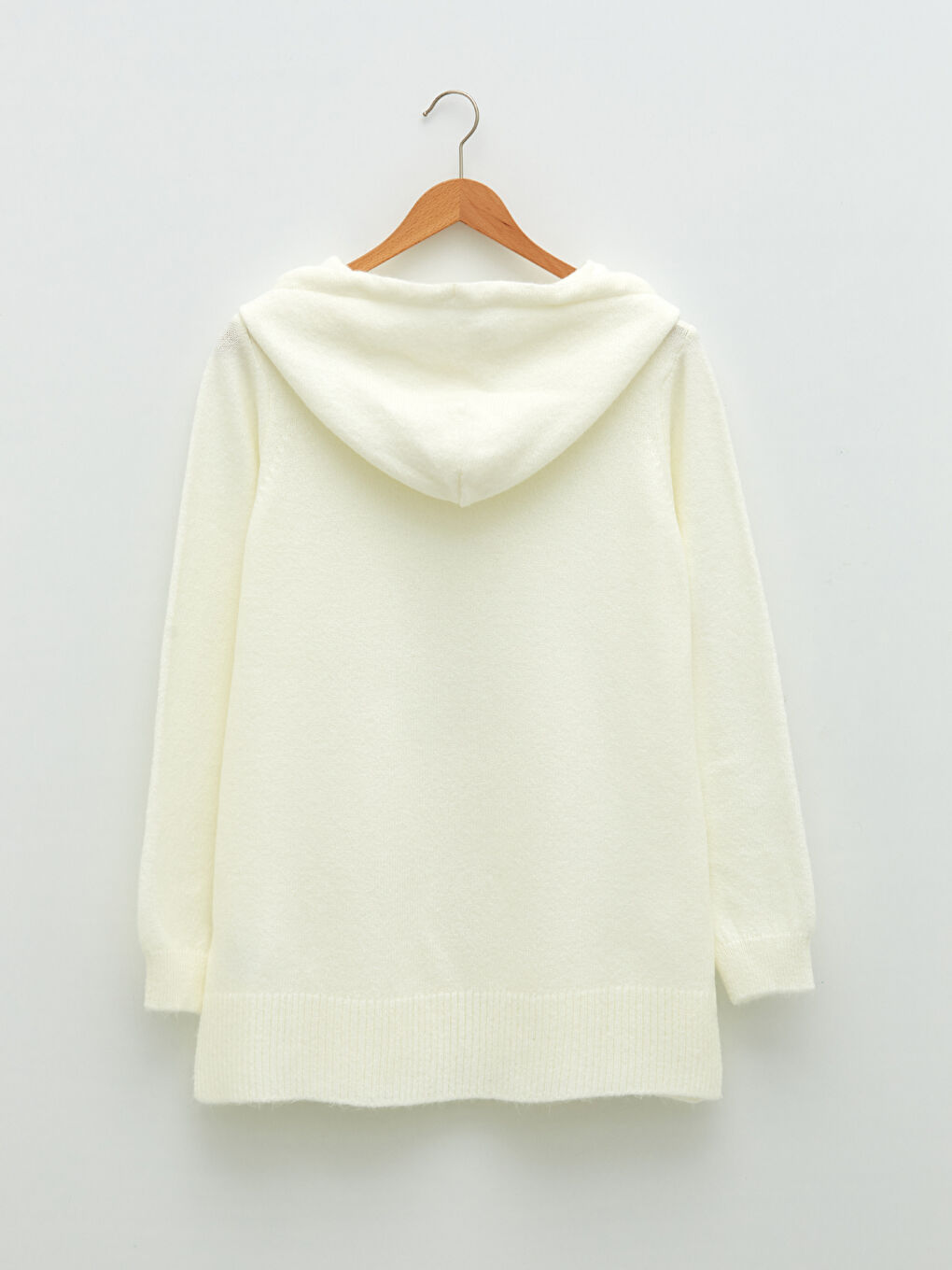 LCWAIKIKI Maternity Hooded Plain Long Sleeve Maternity Thick Knitwear Sweater -W1GD14Z8-RUX