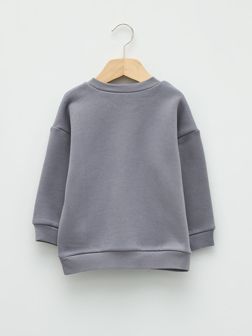 Crew Neck Long Sleeve Printed Baby Boys' Sweatshirt-1