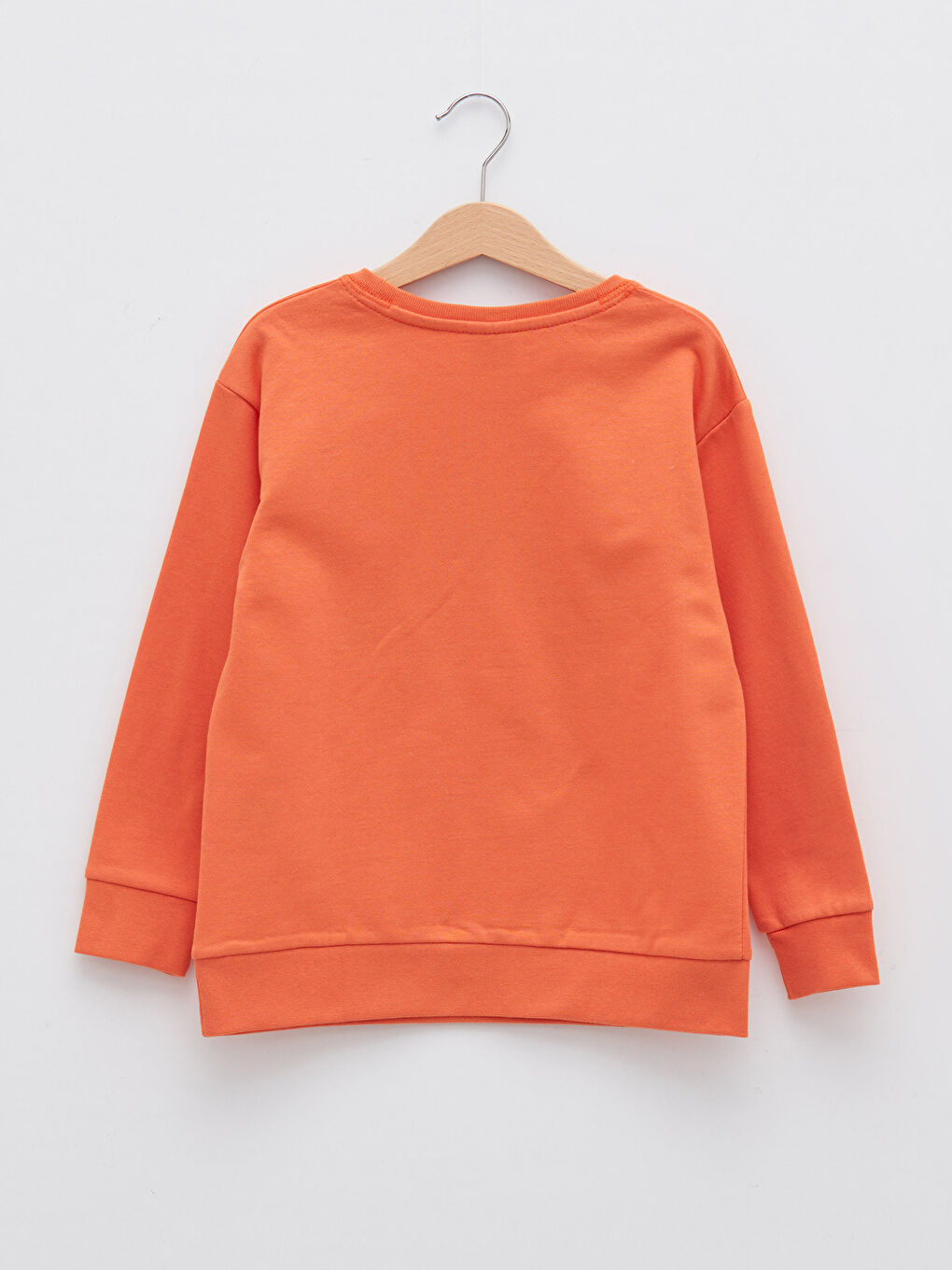 Crew Neck Printed Long Sleeve Boys' Sweatshirt-1