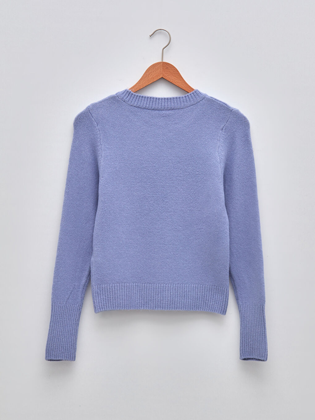 LCW Vision Rundhalsausschnitt Schlicht Langarm Damen Strickpullover -W1H098Z8-RUZ