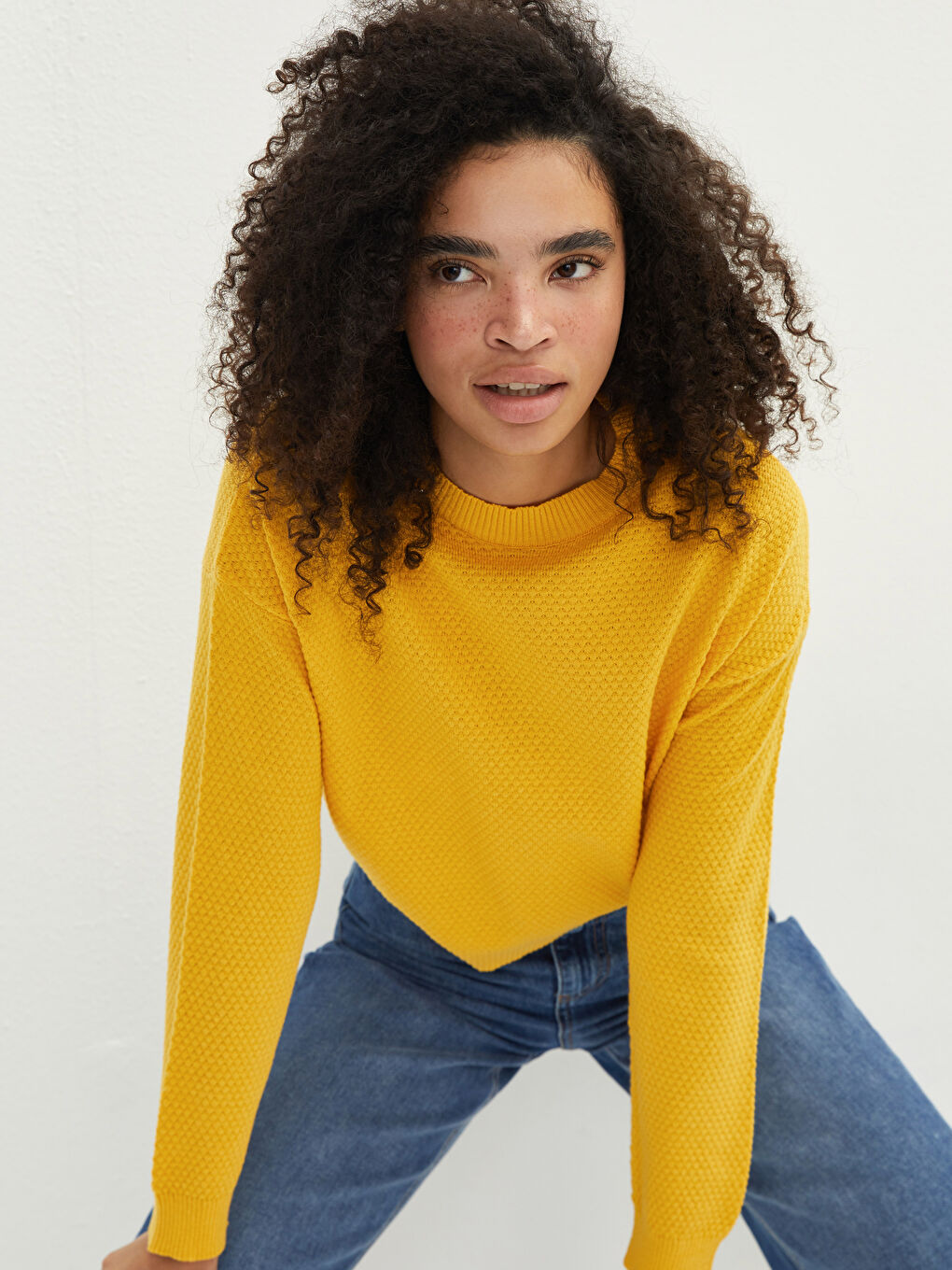 Crew Neck Self Patterned Long Sleeve Women's Knitwear Sweater