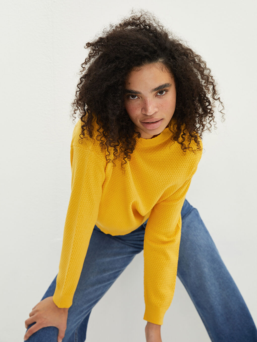 Crew Neck Self Patterned Long Sleeve Women's Knitwear Sweater-1